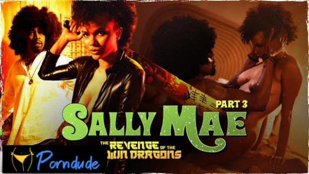 Sweet Sweet Sally Mae – The Revenge Of The Twin Dragons: Part 3 - Sweet Sweet Sally Mae - Alina Ali
